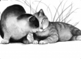 /album/images-lgdc/chat5-copie-copie-png/